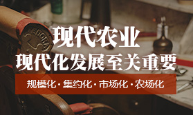 現(xiàn)代農(nóng)業(yè)