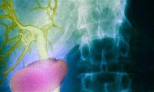 科學(xué)家在人體內(nèi)發(fā)現(xiàn)未知新器官 2020年智能醫(yī)療行業(yè)投資趨勢分析調(diào)研