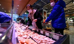 日本市場雞肉批發(fā)價格已達(dá)50元/公斤 短期內(nèi)雞肉價格會下調(diào)嗎？