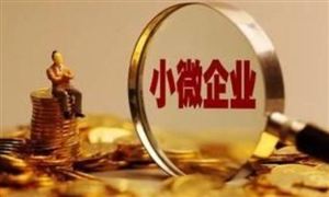 江蘇省小微金融市場(chǎng)前景及江蘇省小微金融行業(yè)風(fēng)險(xiǎn)分析