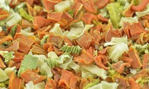 脫水蔬菜行業(yè)現(xiàn)狀分析以及行業(yè)前景分析