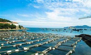 廣東明確扶持海洋漁業(yè) 海洋漁業(yè)發(fā)展現(xiàn)狀及趨勢(shì)