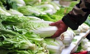 韓國一棵白菜賣近25元 預(yù)計(jì)12月物價(jià)繼續(xù)上漲