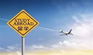 2022年留學(xué)服務(wù)行業(yè)發(fā)展前景及市場規(guī)模分析