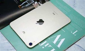 iPadMini 6現(xiàn)“果凍屏”遭訴訟 LCD面板價格市場行情回顧