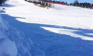 2022年冰雪旅游行業(yè)現(xiàn)狀及發(fā)展前景分析