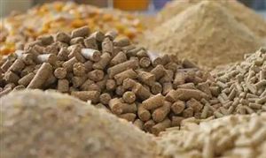 中國生物飼料行業(yè)現狀及發(fā)展趨勢分析