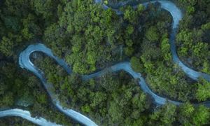歷史文化旅游市場占比 2022歷史文化旅游行業(yè)現(xiàn)狀與前景分析