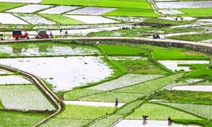 2022農業(yè)自動化設備行業(yè)現(xiàn)狀及市場前景分析