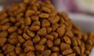 2022年飼料行業(yè)的環(huán)境機(jī)會及飼料行業(yè)發(fā)展趨勢分析