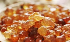 2022年桃膠行業(yè)發(fā)展前景及市場需求分析