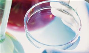 丁苯橡膠行業(yè)分析 2022丁苯橡膠行業(yè)前景及現(xiàn)狀分析