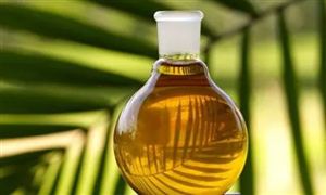 中國生物柴油行業(yè)現(xiàn)狀及發(fā)展趨勢分析