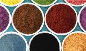 中國天然食用色素行業(yè)現(xiàn)狀及發(fā)展前景預(yù)測