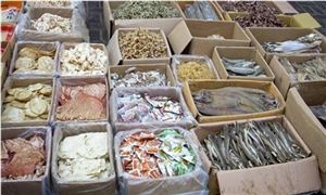 2022年干海產(chǎn)品行業(yè)發(fā)展前景及市場需求分析