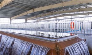 水凈化產(chǎn)業(yè)市場(chǎng)規(guī)模與發(fā)展趨勢(shì)研究