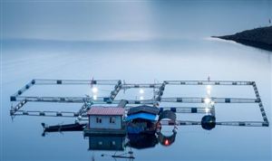 水產(chǎn)養(yǎng)殖行業(yè)市場(chǎng)調(diào)研 水產(chǎn)養(yǎng)殖技術(shù)向綠色高質(zhì)量發(fā)展