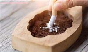 比亞迪電子已獲頒《煙草專賣生產(chǎn)企業(yè)許可證》 中國煙草制品行業(yè)市場調(diào)查分析