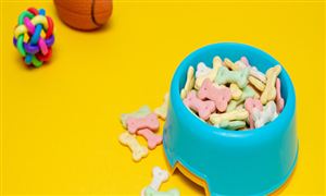 2022年中國寵物食品行業(yè)現(xiàn)狀及趨勢分析