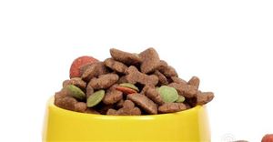 中國(guó)寵物食品市場(chǎng)調(diào)研：預(yù)計(jì)市場(chǎng)規(guī)模有望達(dá)到約2417億元