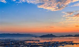 中國合成氨行業(yè)市場調(diào)研 市場未來走勢(shì)將向資源地轉(zhuǎn)移