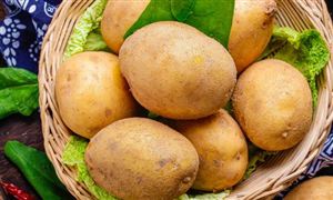 “小土豆”正成為大產(chǎn)業(yè)  2022土豆市場(chǎng)現(xiàn)狀分析 