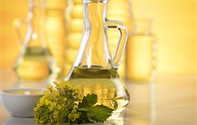 中國油菜籽行業(yè)現(xiàn)狀 油菜籽行業(yè)發(fā)展趨勢分析