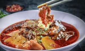 川菜行業(yè)深度研究及發(fā)展趨勢分析報告