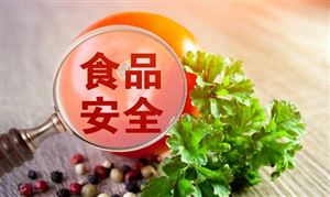 食品安全行業(yè)發(fā)展展望 食品安全行業(yè)市場全景調(diào)研及發(fā)展建議