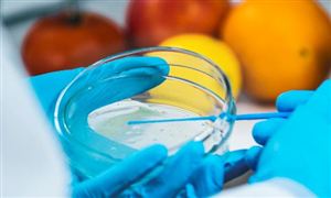 2023微生物檢測行業(yè)市場深度分析及投資戰(zhàn)略分析