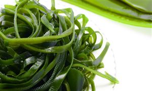 海帶行業(yè)發(fā)展現(xiàn)狀分析 海帶行業(yè)市場調(diào)研分析2023