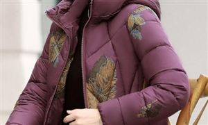 2022-2027年中國女裝市場十大趨勢分析
