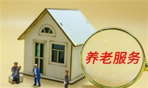 關(guān)于養(yǎng)老和家政服務(wù) 三部門聯(lián)合行動(dòng) 養(yǎng)老服務(wù)中心行業(yè)深度分析及投資戰(zhàn)略研究咨詢報(bào)告