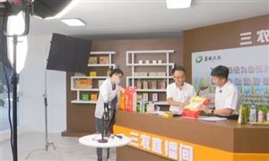 農(nóng)村網(wǎng)絡(luò)零售行業(yè)發(fā)展機遇 農(nóng)村網(wǎng)絡(luò)零售產(chǎn)業(yè)深度調(diào)研及市場規(guī)模