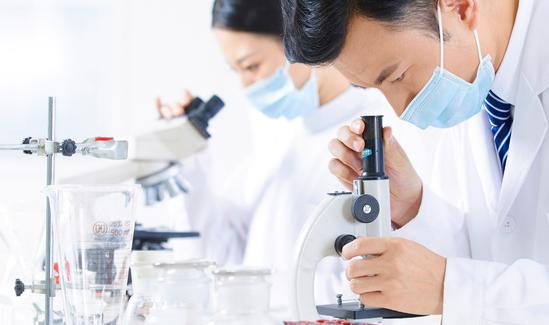 2023對(duì)二甲苯行業(yè)深度調(diào)研與投資戰(zhàn)略研究