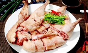 肉鴨行業(yè)市場(chǎng)發(fā)展現(xiàn)狀調(diào)查及產(chǎn)業(yè)鏈分析2023