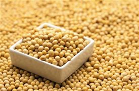 全國最新豆粕價格行情走勢分析 飼料消費疲軟國內(nèi)豆粕庫存充足