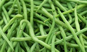 豆角種植行業(yè)市場分析 豆角種植行業(yè)發(fā)展前景研究
