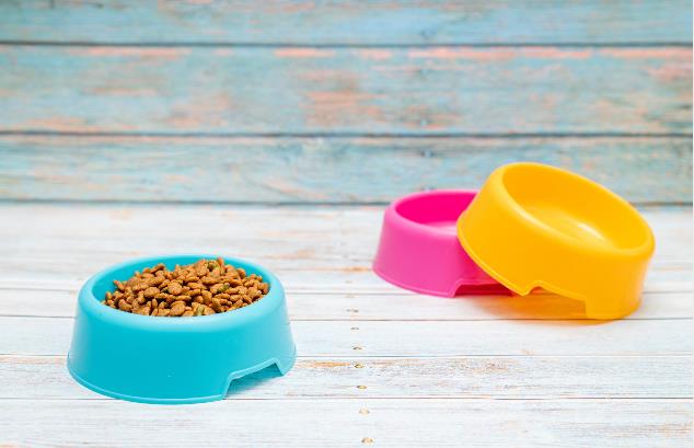 寵物飼料進(jìn)口需求大幅增加 2025年我國寵物市場規(guī)模將達(dá)八千億元