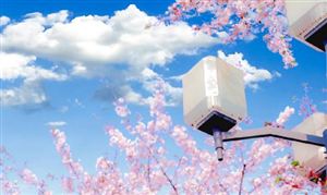 盲盒行業(yè)市場(chǎng)調(diào)研2023