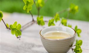 茶多酚行業(yè)應(yīng)用哪些領(lǐng)域？茶多酚行業(yè)前景分析