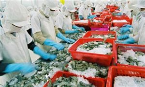 水產(chǎn)品加工投資潛力 2023水產(chǎn)品加工行業(yè)發(fā)展現(xiàn)狀與前景分析