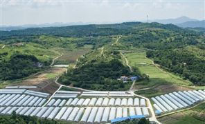 2023年中國(guó)特色農(nóng)業(yè)行業(yè)深度調(diào)研與發(fā)展趨勢(shì)預(yù)測(cè)研究報(bào)告