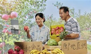 中國農(nóng)貿(mào)電商平臺行業(yè)發(fā)展分析與投資前景預(yù)測報告2023
