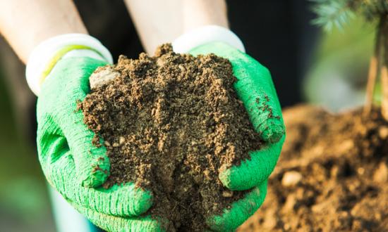 蔬菜育苗投資潛力 2023蔬菜育苗行業(yè)區(qū)域市場分析