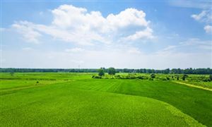 2023年中國水溶性肥料市場深度全景調(diào)研及投資前景分析報告