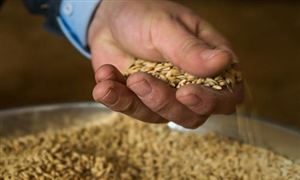 2023年中國糧食倉儲行業(yè)發(fā)展前景分析