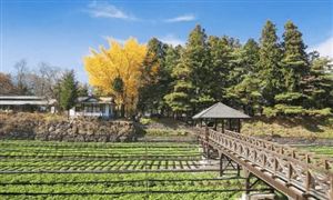 2023休閑農(nóng)業(yè)行業(yè)發(fā)展前景投資分析