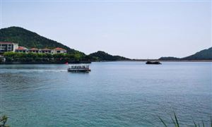 鄉(xiāng)村旅游行業(yè)發(fā)展前景投資分析2023