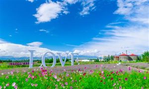 生態(tài)農(nóng)業(yè)市場現(xiàn)狀及前景分析2023